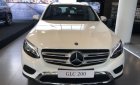 Mercedes-Benz GLC-Class GLC200 2019 - Mercedes GLC200 2019 giá chỉ còn 1.531 tỷ