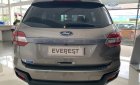 Ford Everest 2019 - Bán Ford Everest năm 2019, màu vàng, nhập khẩu, giá chỉ 949 triệu
