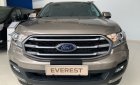 Ford Everest 2019 - Bán Ford Everest năm 2019, màu vàng, nhập khẩu, giá chỉ 949 triệu