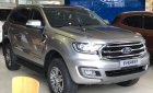Ford Everest 2019 - Bán Ford Everest đời 2019, màu bạc, nhập khẩu