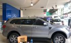 Ford Everest 2019 - Bán Ford Everest đời 2019, màu bạc, nhập khẩu