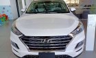 Hyundai Tucson 2019 - Cần bán Hyundai Tucson đời 2019, màu trắng, nhập khẩu 