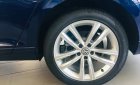 Volkswagen Passat Blue motion 2019 - Volkswagen passat blue motion - xe sang cho doanh nhân