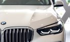 BMW X5 2019 - Bán xe BMW X5 đời 2019, trắng, nhập khẩu 100% từ Đức