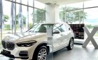 BMW X5 2019 - Bán xe BMW X5 đời 2019, trắng, nhập khẩu 100% từ Đức