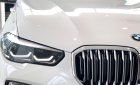 BMW X5 2019 - Bán xe BMW X5 đời 2019, trắng, nhập khẩu 100% từ Đức