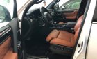 Lexus LX 570 2019 - Bán Lexus LX570 MBS bản 4 chỗ màu trắng, model 2020