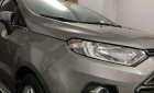 Ford EcoSport 2016 - Bán Ford EcoSport AT sản xuất 2016, màu xám, xe gia đình