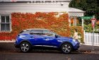 Peugeot 3008 2019 - Bán ô tô Peugeot 3008 sản xuất năm 2019