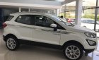 Ford EcoSport 2019 - Cần bán xe Ford EcoSport đời 2019, màu trắng, xe nhập, giá tốt. Lh 0946519127