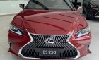 Lexus ES 250 2019 - Bán Lexus ES250 Sedan hạng sang 2020