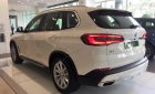BMW X5 xDrive40i 2019 - Bán BMW X5 xDrive40i 2019, màu trắng, nhập khẩu  