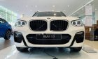 BMW X3 2019 - Bán xe BMW X3 xDrive20i đời 2019, màu trắng, xe nhập