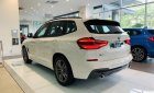 BMW X3 2019 - Bán xe BMW X3 xDrive20i đời 2019, màu trắng, xe nhập