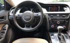 Audi A5 2016 - Cần Bán xe Audi A5 model 2016, màu đen, nhập Đức