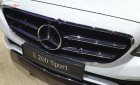 Mercedes-Benz E class E200 Sport 2019 - Bán Mercedes E200 Sport sản xuất năm 2019, màu trắng