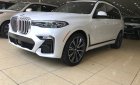 BMW BMW khác X7 2020 - Bán BMW X7 XDrive 40i MSport (có xe ngay)l 2020 thể thao màu trắng, nội thất nâu da bò