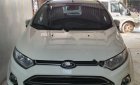 Ford EcoSport Titanium 2016 - Chính chủ bán Ford EcoSport Titanium đời 2016, màu trắng, nhập khẩu