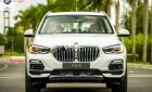 BMW X5 2019 - Bán BMW X5 đời 2019, màu trắng, nhập khẩu nguyên chiếc