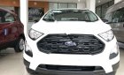 Ford EcoSport Ambiente AT 2019 - Cần bán xe Ford EcoSport Ambiente AT sản xuất năm 2019, màu trắng