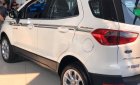 Ford EcoSport 2019 - Bán xe Ford Ecosport sản xuất năm 2019, mới 100%