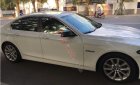 BMW 5 Series 2016 - Bán BMW 5 Series 520i năm 2016, màu trắng chính chủ
