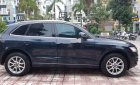 Audi Q5 2010 - Cần bán Audi Q5 2010, màu đen xe gia đình, xe nguyên bản