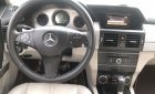 Mercedes-Benz GLK Class 2009 - Bán Mercedes GLK300 2009, số tự động, giá tốt