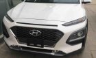 Hyundai Hyundai khác 2019 - Hyundai Kona xe đủ màu giao ngay giá tốt, hỗ trợ trả góp