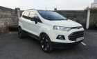 Ford EcoSport 2015 - Bán Ford EcoSport 2015, giá 450tr xe nguyên bản