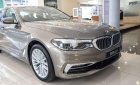 BMW 5 Series   2019 - Cần bán xe BMW 530i đời 2019, màu vàng, nhập khẩu