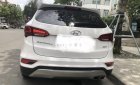 Hyundai Santa Fe       2016 - Bán Hyundai Santa Fe đời 2016, nhập khẩu, giá tốt
