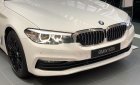 BMW 5 Series   2019 - Bán BMW 520i đời 2019, màu trắng, nhập khẩu