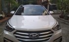 Hyundai Santa Fe       2016 - Bán Hyundai Santa Fe đời 2016, nhập khẩu, giá tốt