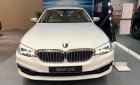 BMW 5 Series   2019 - Bán BMW 520i đời 2019, màu trắng, nhập khẩu