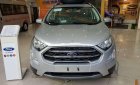 Ford EcoSport 2019 - Bán xe Ford EcoSport đời 2019, ưu đãi hấp dẫn