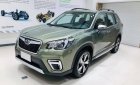 Subaru Forester 2019 - Cần bán Subaru Forester đời 2019, màu xanh, nhập khẩu