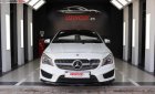 Mercedes-Benz CLA class 2014 - Bán lại xe Mercedes CLA 250 4Matic 2014, màu trắng, xe nhập