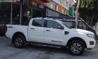 Ford Ranger 2019 - Cần bán Ford Ranger Wildtrak sản xuất năm 2019, xe nhập