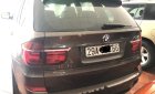 BMW X5   2010 - Bán BMW X5 năm 2010, màu nâu, nhập khẩu nguyên chiếc