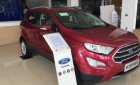 Ford EcoSport 2019 - Bán xe Ford EcoSport đời 2019, giá hấp dẫn