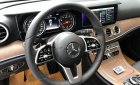 Mercedes-Benz E class 2019 - Cần bán xe Mercedes E200 2019, màu đen