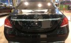 Mercedes-Benz E class 2019 - Cần bán xe Mercedes E200 2019, màu đen