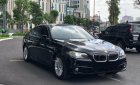 BMW 5 Series 520i 2015 - Bán ô tô BMW 5 Series đời 2015, màu đen, nhập khẩu nguyên chiếc