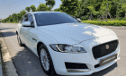 Jaguar XF   2018 - Bán Jaguar XF Pure sản xuất năm 2018, màu trắng, nhập khẩu 