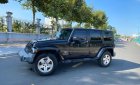 Jeep Wrangler   2009 - Bán xe Jeep Wrangler đời 2009, màu đen, nhập khẩu  