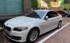 BMW 5 Series 2015 - Cần bán lại xe BMW 5 Series 520i năm 2015, màu trắng, nhập khẩu nguyên chiếc