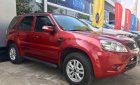 Ford Escape 2010 - Bán ô tô Ford Escape sản xuất 2010, màu đỏ số tự động