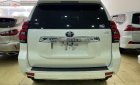 Toyota Prado VX 2019 - Bán Toyota Prado VX năm 2019, màu trắng, xe nhập như mới