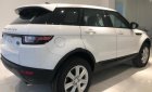 LandRover   2019 - Bán xe Landrover Range Rover sản xuất năm 2019, màu đỏ, nhập khẩu chính hãng